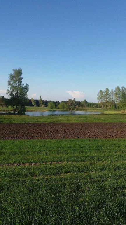 Gospodarstwo Agroturystyczne Zakatek Dąbie Extérieur photo