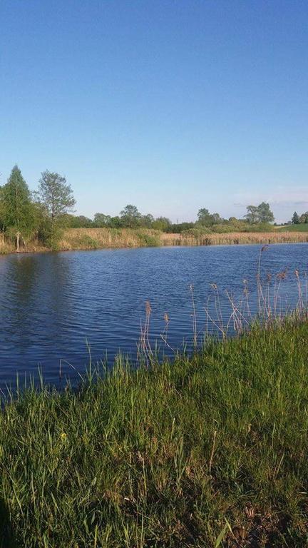 Gospodarstwo Agroturystyczne Zakatek Dąbie Extérieur photo
